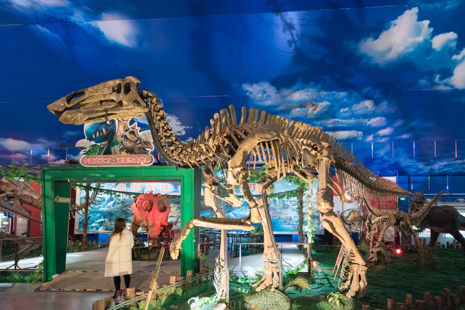 中科院研究团队在一只尾羽龙的化石中提取了部分细胞，科学家发现了什么？