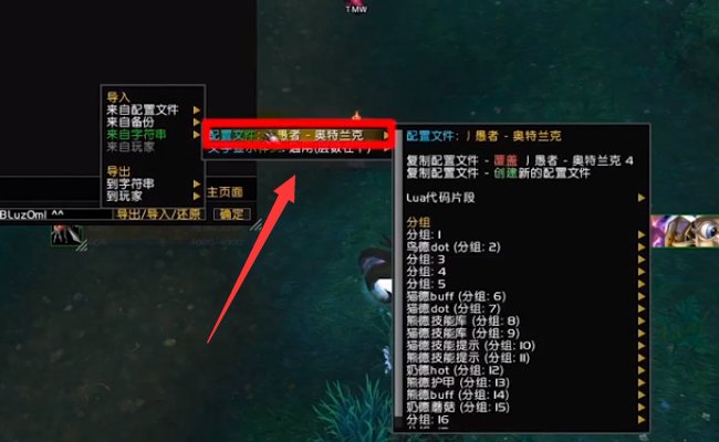 魔兽世界tmw字符串怎么用？