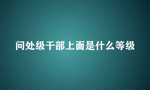 问处级干部上面是什么等级