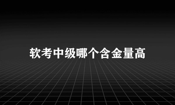 软考中级哪个含金量高