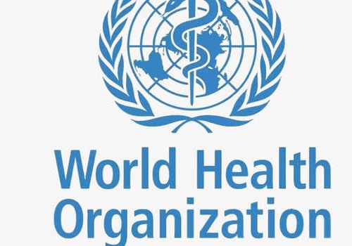 国际组织有哪些及英文缩写