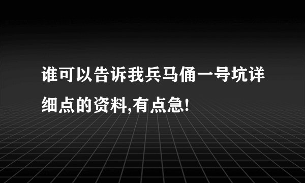 谁可以告诉我兵马俑一号坑详细点的资料,有点急!