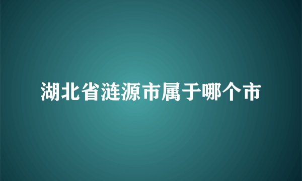 湖北省涟源市属于哪个市