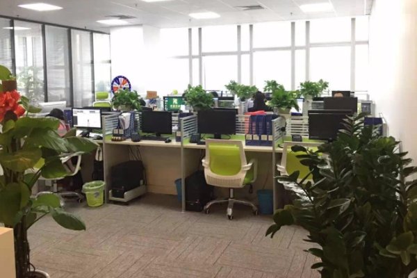 为何8小时工作制成为了过去？你支持8小时工作制吗？