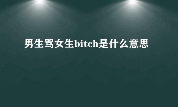 男生骂女生bitch是什么意思