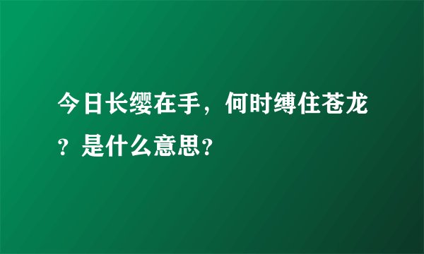 今日长缨在手，何时缚住苍龙？是什么意思？