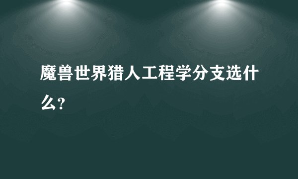 魔兽世界猎人工程学分支选什么？