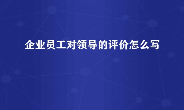 企业员工对领导的评价怎么写