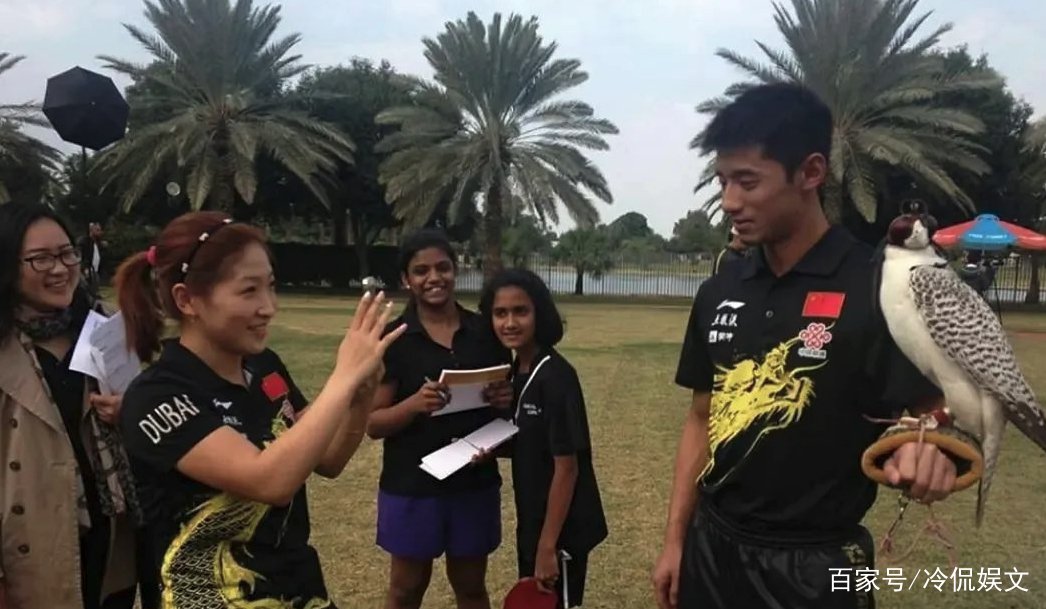 张继科刘诗雯七年初恋终于有结果了，被曝两人疑似世纪大复合，咋回事？