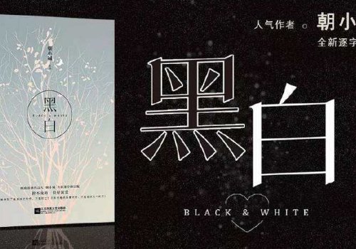 怎样评论朝小诚的黑白的男女主？