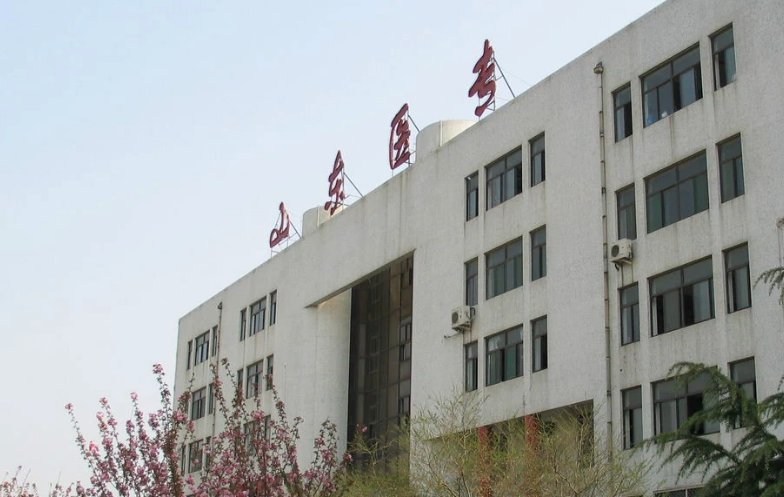 山东医学高等专科学校临沂与济南校区哪个好啊