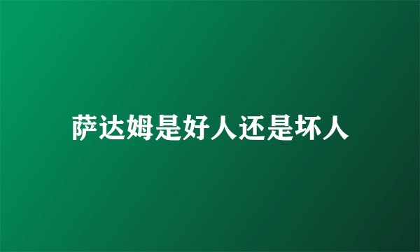 萨达姆是好人还是坏人