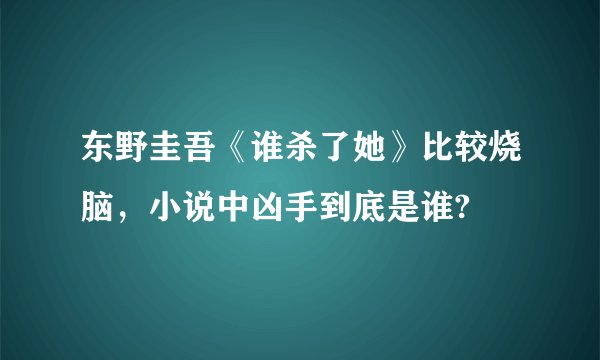 东野圭吾《谁杀了她》比较烧脑，小说中凶手到底是谁?