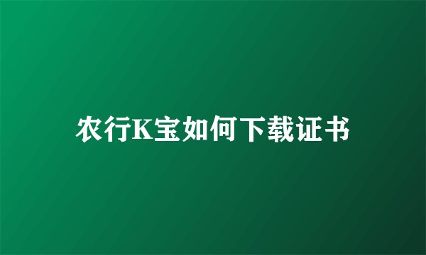 农行K宝如何下载证书