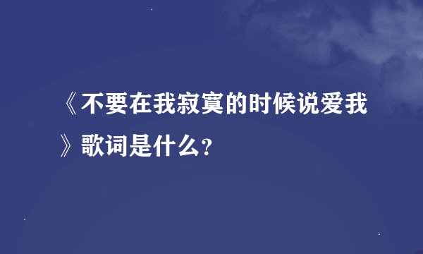 《不要在我寂寞的时候说爱我》歌词是什么？