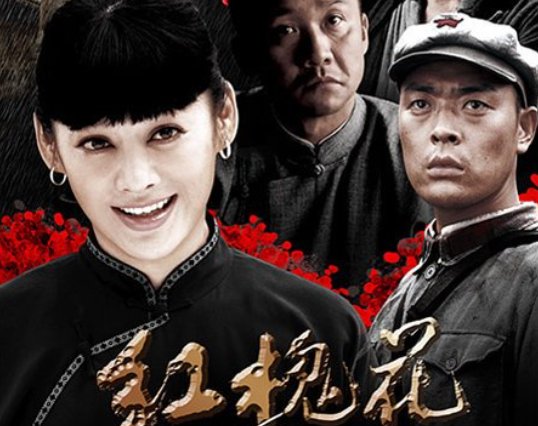 红槐花电视剧演员表