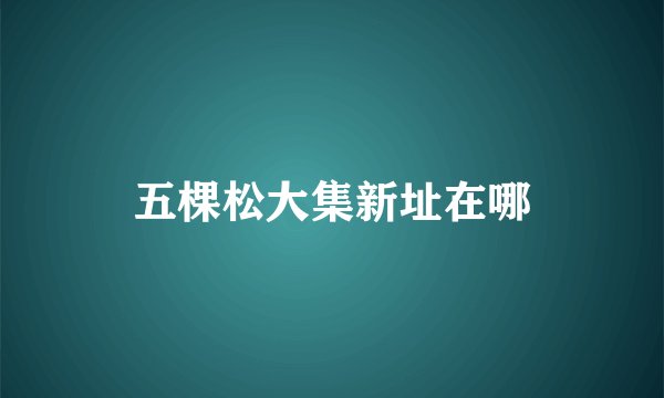 五棵松大集新址在哪