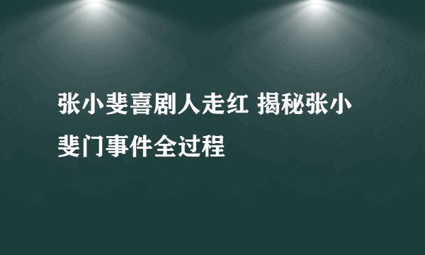 张小斐喜剧人走红 揭秘张小斐门事件全过程