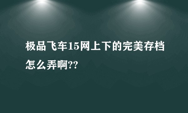 极品飞车15网上下的完美存档怎么弄啊??