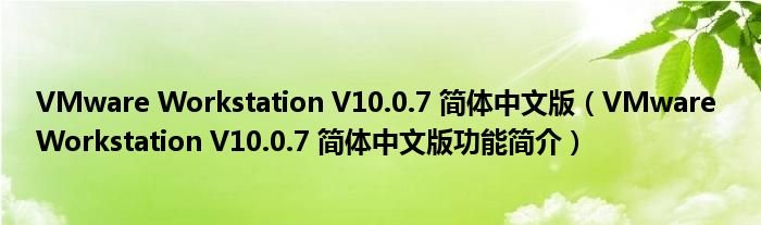 VMwareWorkstationV1007简体中文版VMwareWorkstationV1007简体中文版功能简介