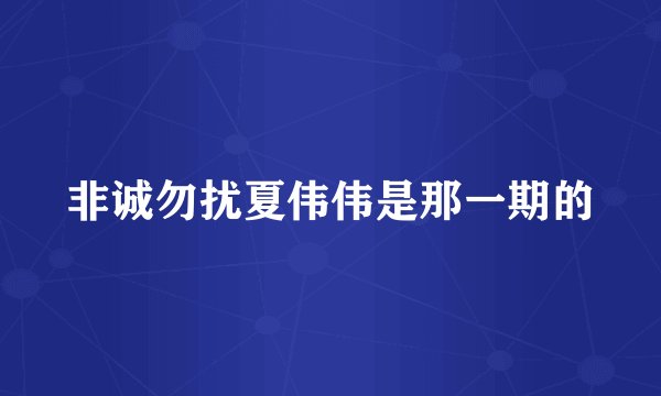 非诚勿扰夏伟伟是那一期的