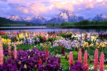 美不胜收的收是什么意思