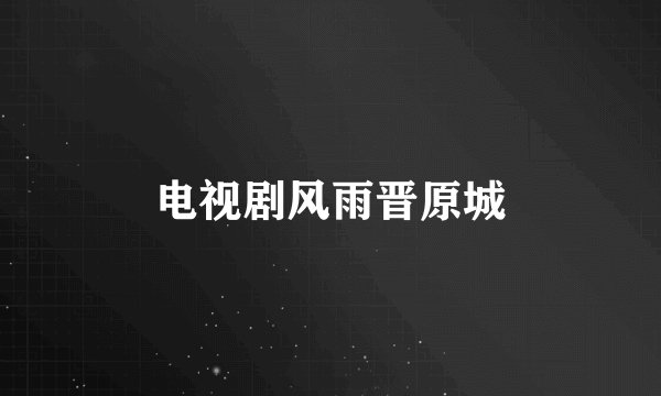 电视剧风雨晋原城