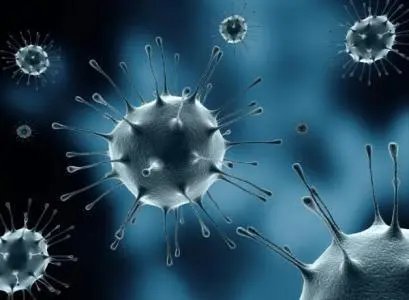 澳大利亚南澳州出现首例乙脑死亡病例，患者出现了哪些症状？