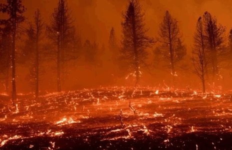 美国山火葛延至6州，这场山火造成了多大的灾难？