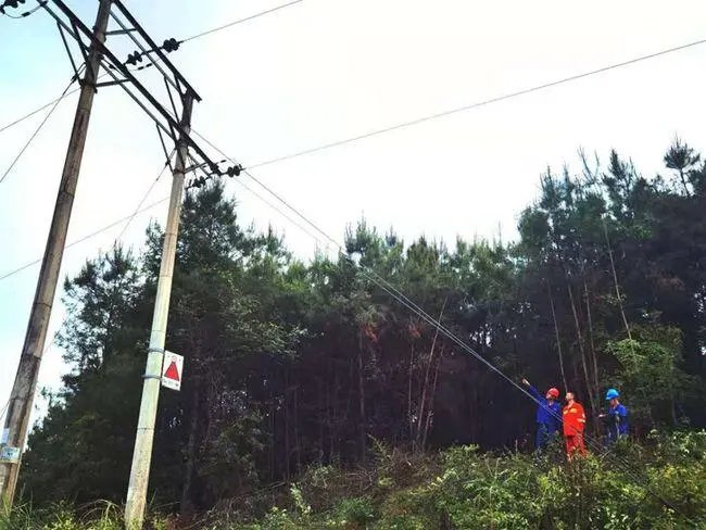 达州市长紧急部署：寻求市外省外支援，当地采取了哪些措施来缓解供电压力？