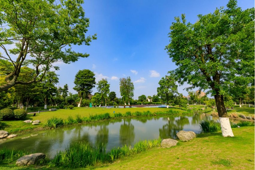 必须坚持____、____、____的方针,坚定不移走生产发展