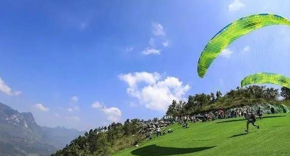 你知道结束“贵州茶叶没有中国驰名商标”历史的茶是什么吗?