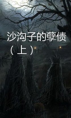 沙沟子的孽债的背景故事