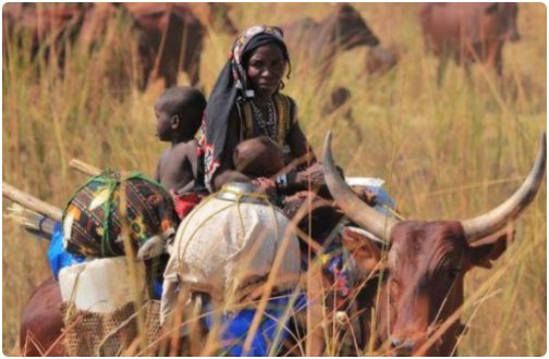 林碧春非洲二女儿现状是什么？