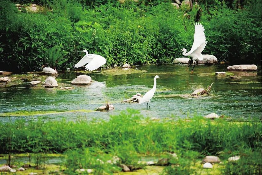 必须坚持____、____、____的方针,坚定不移走生产发展