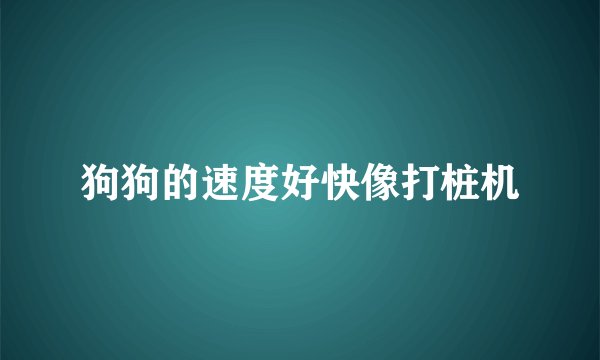 狗狗的速度好快像打桩机