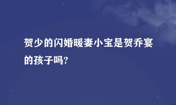 贺少的闪婚暖妻小宝是贺乔宴的孩子吗?