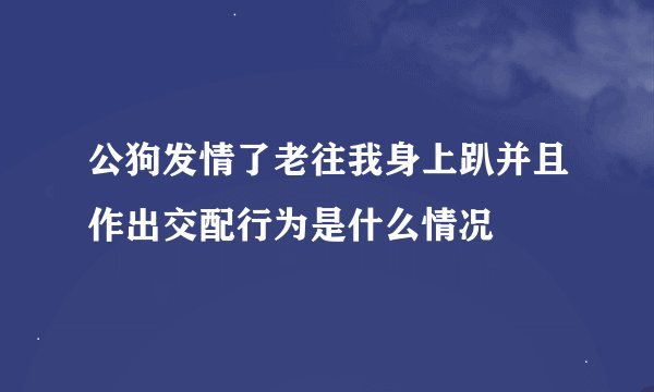 公狗发情了老往我身上趴并且作出交配行为是什么情况