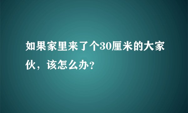 如果家里来了个30厘米的大家伙，该怎么办？