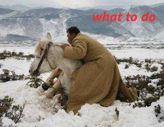 how to do和what to do的区别