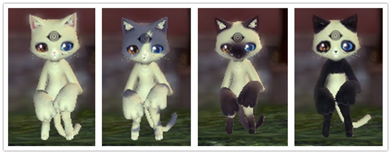 剑灵如何修改小猫形象