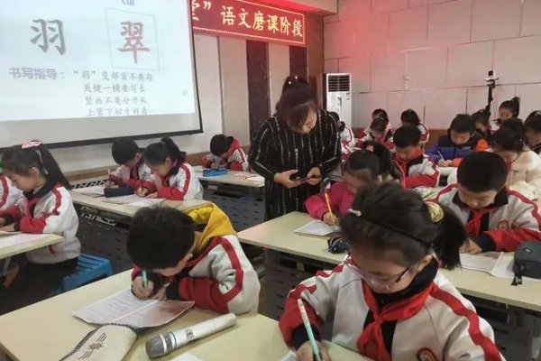 评述是什么意思