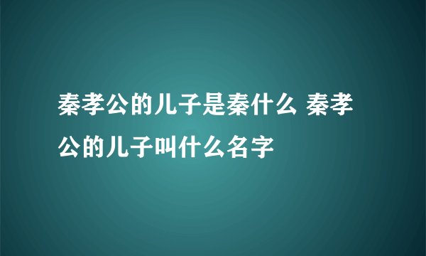 秦孝公的儿子是秦什么 秦孝公的儿子叫什么名字