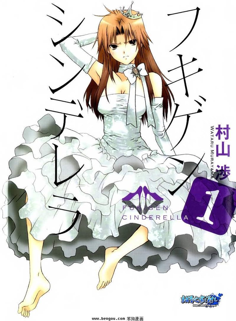 不高兴的灰姑娘的人物介绍