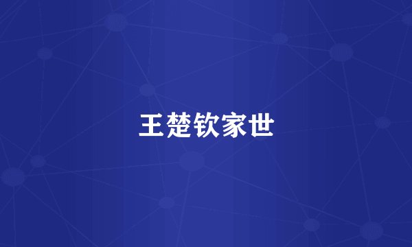 王楚钦家世