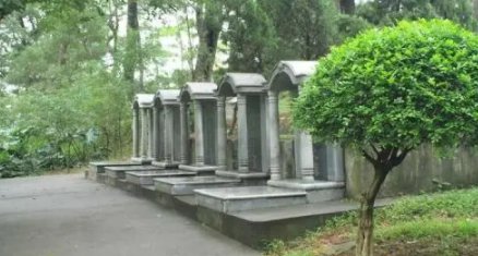 坟茔和坟墓的区别是什么？