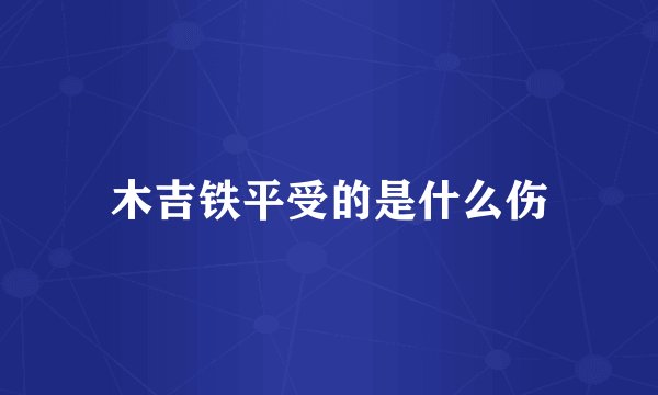 木吉铁平受的是什么伤
