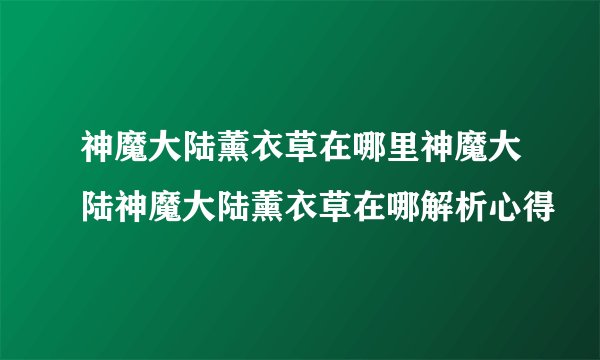 神魔大陆薰衣草在哪里神魔大陆神魔大陆薰衣草在哪解析心得