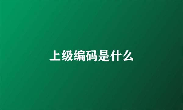 上级编码是什么