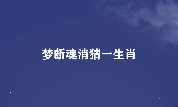 梦断魂消猜一生肖